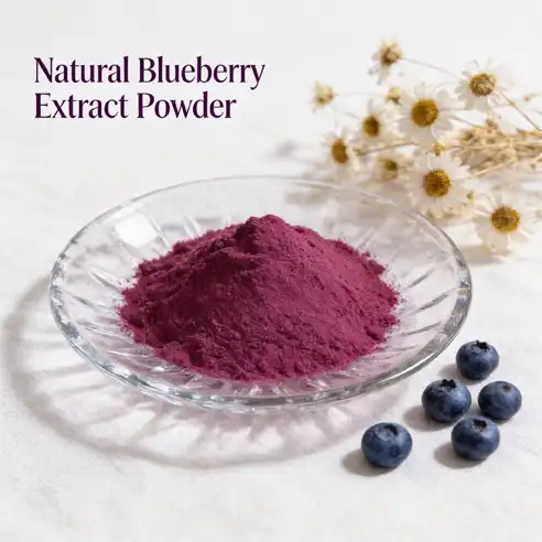 How to Source ISO-Certified Natural Blueberry Extract Powder in Bulk?
